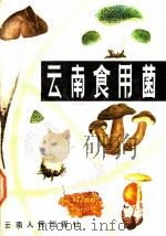 云南食用菌 1984 PDF电子版封面 16116·330 张光亚著