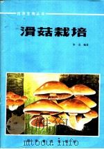 滑菇栽培 1984 PDF电子版封面 16051·1056 朱克编著