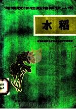 水稻（1965年07月第1版 PDF版）