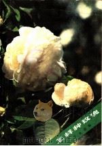 怎样种玫瑰 1983 PDF电子版封面 16119·801 丁永南编