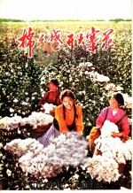 棉乡盛开大寨花 河南省新乡县开展农业学大寨群众运动的经验 1974 PDF电子版封面 3144·50 予新编