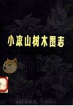 小凉山树木图志（1980 PDF版）