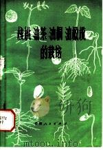 核桃  油茶  油桐  油橄榄的栽培   1973  PDF电子版封面  16116·204  云南省林业科学研究所编 