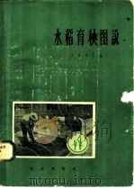 水稻育秧图说 1959 PDF电子版封面 16144·641 (日)天辰克已编;北京编译社译
