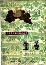 生姜 1982 PDF电子版封面 16245·49 白鹤扬编著