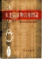 东北农作物害虫图说   1959  PDF电子版封面  16144·769  沈阳农学院植物保护系昆虫教研组编绘 