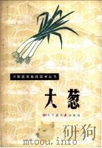 大葱 1980 PDF电子版封面 16245·29 洛阳市农业科学研究所,新乡市郊区蔬菜办公室编著