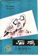石鸡 1987 PDF电子版封面 7204001036 杭福德等著