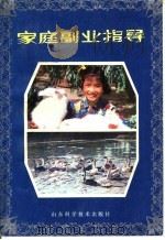 家庭副业指导 1982 PDF电子版封面 13195·72 《家庭副业指导》编写组编