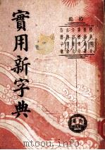 实用新字典 第4版 1946 PDF电子版封面 张廷华编