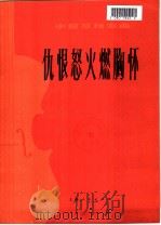 仇恨怒火燃胸怀  革命现代舞剧《白毛女》选段  小提琴独奏曲   1977  PDF电子版封面  8171·1801  胡君东编曲 