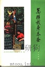 怎样栽桑养蚕 1973 PDF电子版封面 16171·91 《怎样栽桑养蚕》编写组编