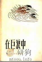 在巨浪中 1957 PDF电子版封面 10078·1221 安徽日报编辑部辑