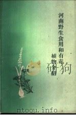 河南野生食用和有毒植物介绍 1961 PDF电子版封面 13105·29 中国科学院河南分院生物研究所编