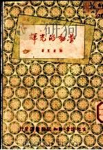劳动的光辉 1949 PDF电子版封面 陈波儿撰