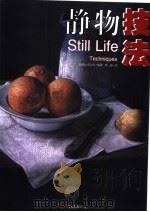 静物基础技法 1999 PDF电子版封面 7806013156 (美)雷切尔·沃尔夫编著;任晶译