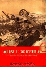 祖国工业的粮仓:新型巨大的阜新海州露天煤矿 1954 PDF电子版封面 陈旗,洪雨著