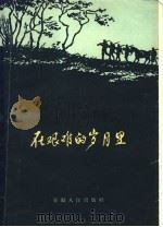 在艰难的岁月里 1958 PDF电子版封面 T10102·140 安徽人民出版社编