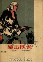 游击队长 1960 PDF电子版封面 10088·378 文小兵著