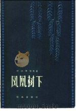 电影文学剧本 凤凰树下 1962 PDF电子版封面 10067·105 杜印,李强等著
