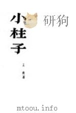 小柱子 小说选集 1954 PDF电子版封面 王南著