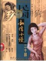 民国私情小说二十部  第5卷（ PDF版）