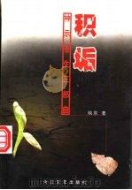 积垢 1998 PDF电子版封面 7535416365 映泉著