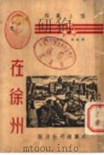 在徐州 1938 PDF电子版封面 西敏辑;亢真化主编