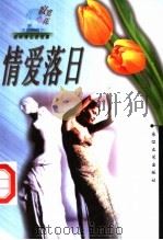情爱落日 1999 PDF电子版封面 7535419127 九宏等选编