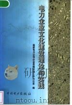 电力企业文化建设理论与实践 1998 PDF电子版封面 7801257227 国家电力公司企业思想政治工作办公室编