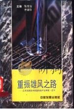 重振雄风之路：应用高新技术改造传统产业研究·辽宁   1995  PDF电子版封面  7800871541  张龙治，齐建珍主编 