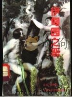 伊甸园之恶:原始罪恶的神秘智慧 1995 PDF电子版封面 7505920499 翁绍军著