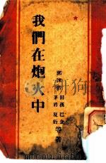 我们在炮火中（ PDF版）