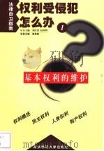 基本权利的维护   1999  PDF电子版封面  7810473662  周思民主编 