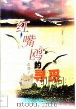 红嘴鸥的寻觅 1999 PDF电子版封面 7500635389 彭鸽子著