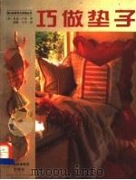 巧做垫子 1999 PDF电子版封面 7806197184 (英)希瑟·卢克(Heather Luke)著;梁琳,子牛译