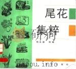 尾花集粹 1993 PDF电子版封面 7800619737 杨永德绘编