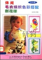 休闲毛衣编织色彩搭配新花样 生肖篇 1997 PDF电子版封面 7543911752 朱天明工作室绘