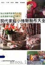 现代家庭小饰物制作大全 1990 PDF电子版封面 7532322122 陈立,小简,张莉,曹静等编著