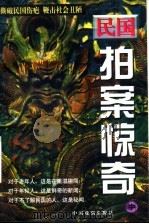 民国拍案惊奇  中   1997  PDF电子版封面  7104008799  徐峰主编；汪后觉副主编；肖志华文史顾问 