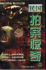 民国拍案惊奇 下 1997 PDF电子版封面 7104008799 徐峰主编;汪后觉副主编;肖志华文史顾问