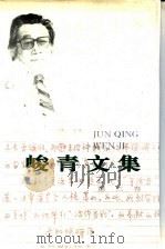 峻青文集  第3卷  长篇小说（1994 PDF版）