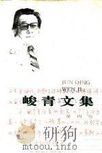 峻青文集 第4卷 散文 1994 PDF电子版封面 7543416905 峻青著