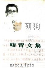 峻青文集 第6卷 文艺理论 回忆录 1994 PDF电子版封面 7543416905 峻青著