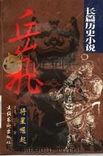 岳飞 将星崛起 1999 PDF电子版封面 7503918543 罗英,丁力著