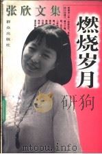 燃烧岁月 1996 PDF电子版封面 7501414521 张欣著