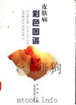 皮肤病彩色图谱 1996 PDF电子版封面 7534520169 赵辨等主编