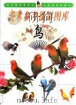 美术参考摄影图库 鸟 1999 PDF电子版封面 780503429X 崔顺才等编