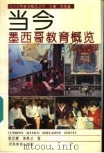 当代墨西哥教育概览 1994 PDF电子版封面 7534714303 曾昭耀,黄慕洁著