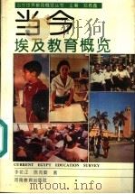 当今埃及教育概览 1994.02 PDF电子版封面 7534715326 李乾正,陈克勤著